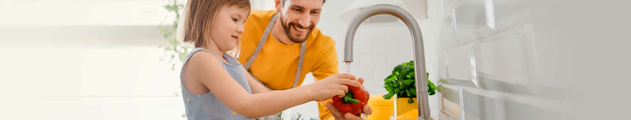 Meal Planning for Paleo Diets on Food Stamps